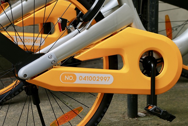 bike maintenance bench tools chain lube pump tyre levers